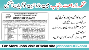 Agriculture Department Of Punjab Jobs